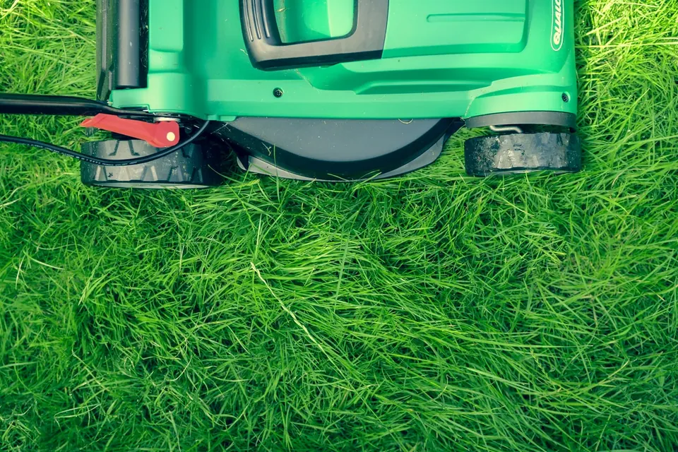 Representative view of maintained green grass