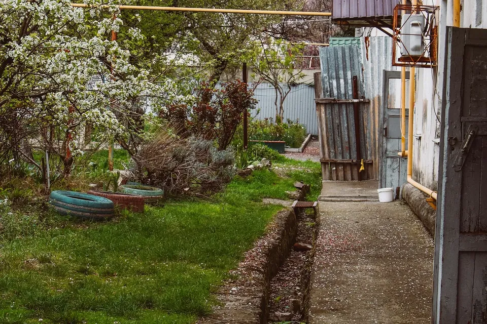 Representative view of an overgrown outdoor area